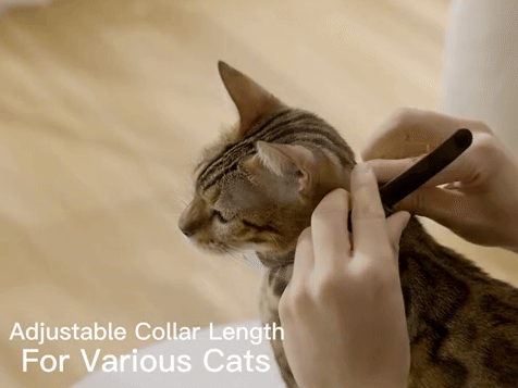 PawPromisse™ Interactive Laser Collar
