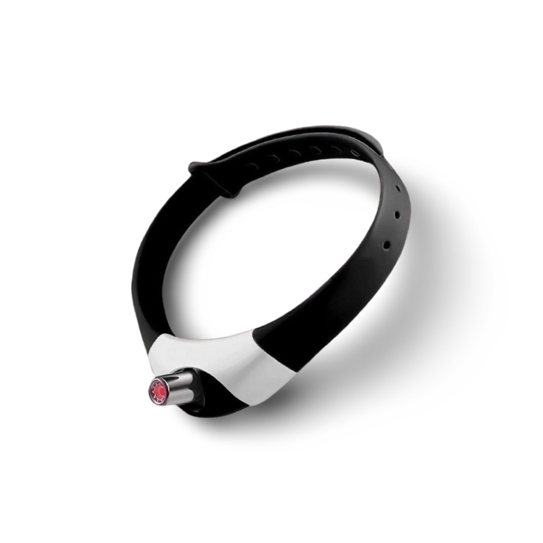 PawPromisse™ Interactive Laser Collar